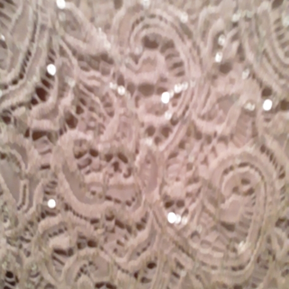 Nordstrom Marina Dress Taupe Lace Sequin - Picture 5 of 6
